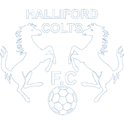 Halliford Colts badge